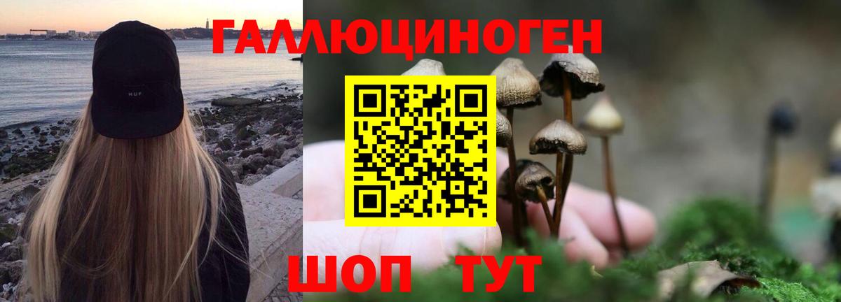 где купить   Псилоцибиновые грибы Psilocybine cubensis  Вход с VPN  Казань 
